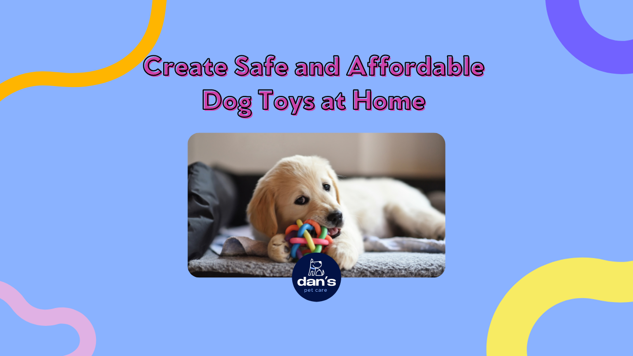 Create Safe and Affordable Dog Toys at Home DIY Dog Toy Ideas Dan s Pet Care